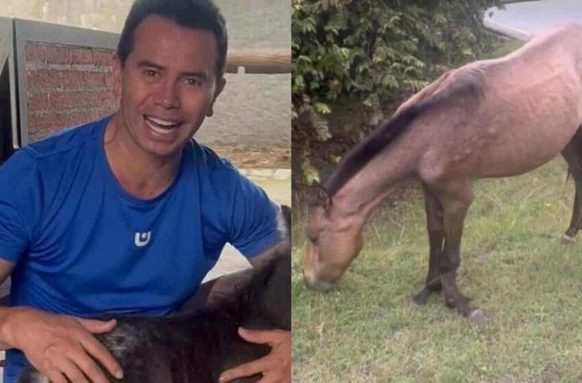  Jhonny Rivera se ganó la admiración de sus seguidores al rescatar y adoptar un caballo enfermo